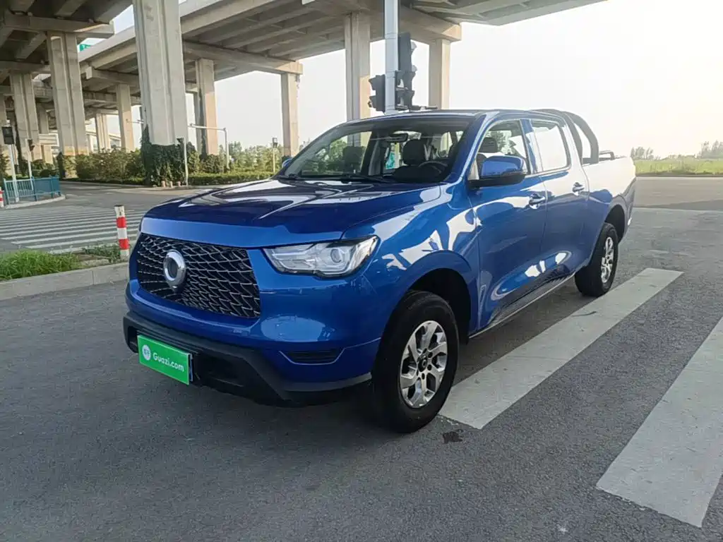 Cannon 2021 2.0T commercial version manual diesel two-wheel drive elite long box GW4D20M купить на сайте DeffCars