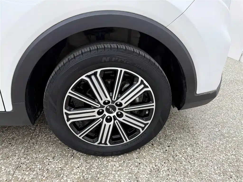 Zhipao 2021 Ace 2.0L Wonderful Edition купить на сайте DeffCars