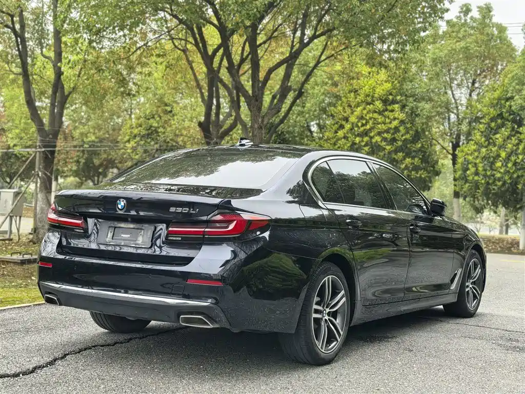 BMW 5 Series 2021 530Li Leading Luxury Package купить на сайте DeffCars