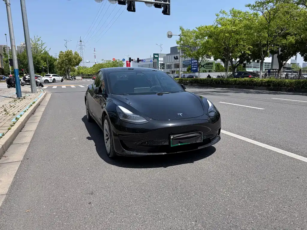 Model 3 2022 rear-wheel drive version купить на сайте DeffCars
