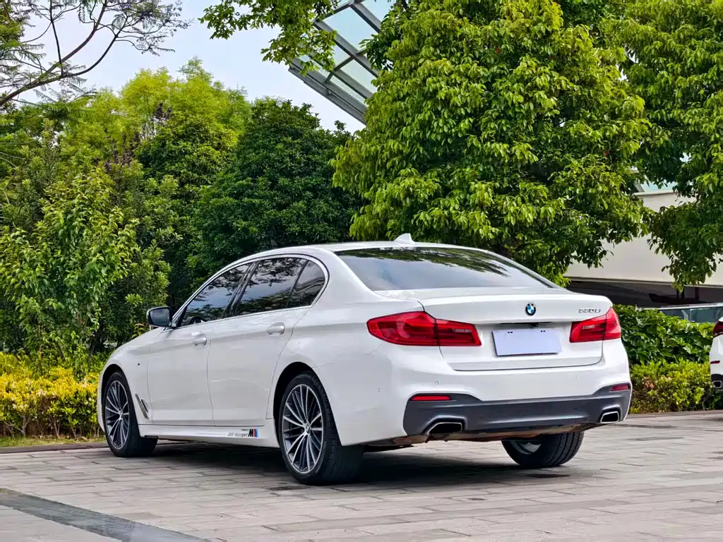 BMW 5 Series 2020 530Li Leading M Sports Package купить на сайте DeffCars