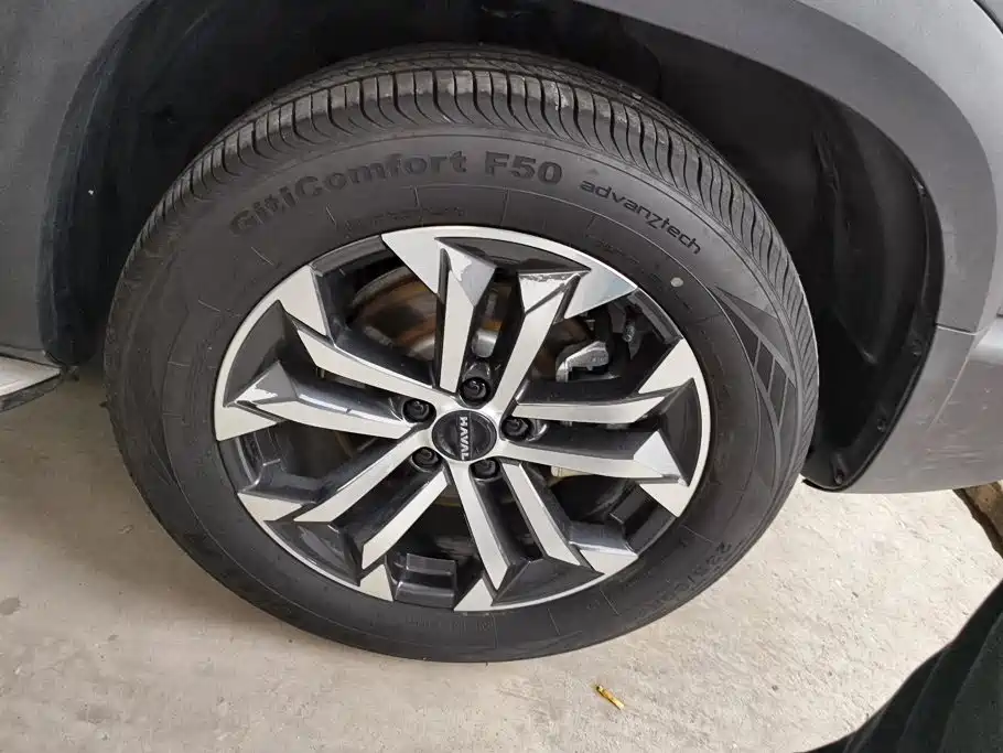 Haval Big Dog 2026 1.5T DCT Border Collie Edition купить на сайте DeffCars