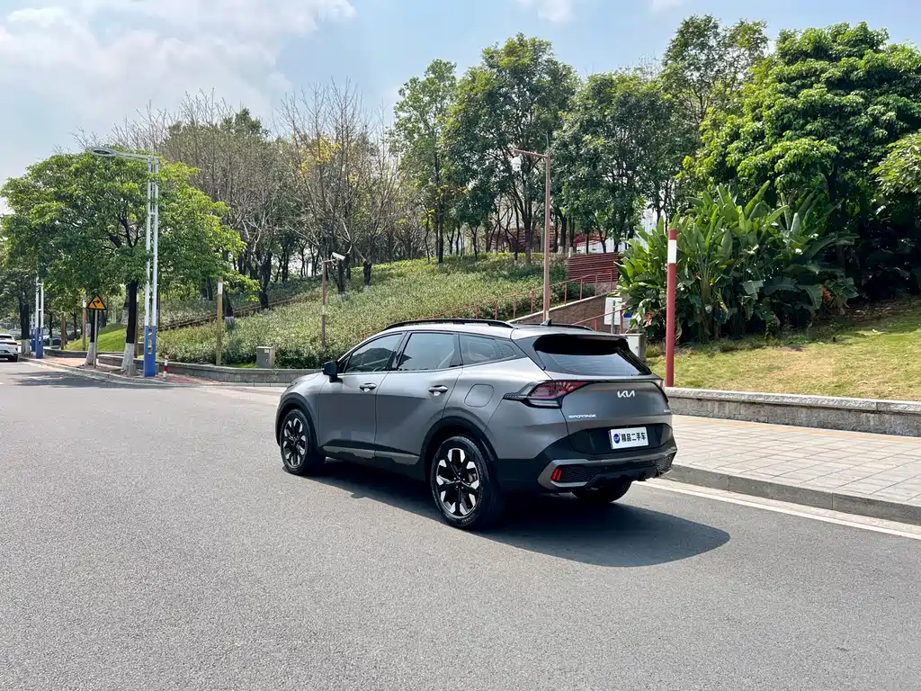 Lion Platinum expands the world 2023 2.0T two-wheel drive flagship version купить на сайте DeffCars