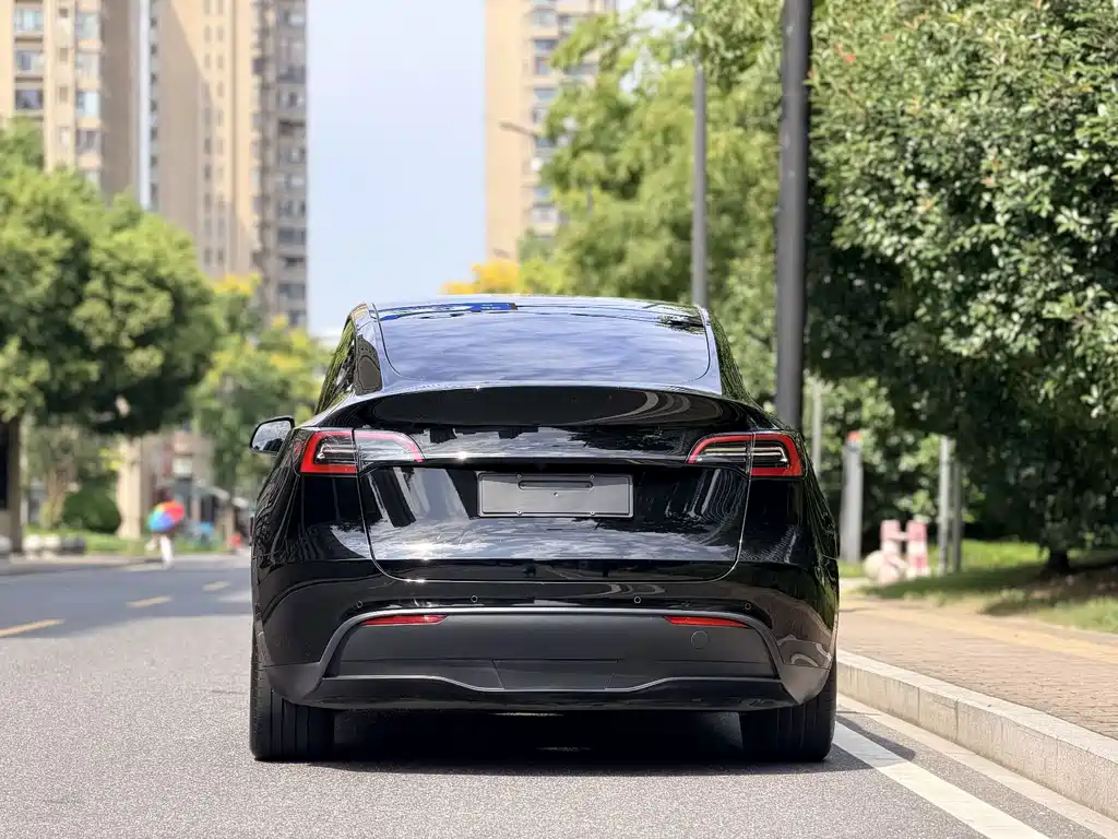 Model Y 2023 rear-wheel drive version купить на сайте DeffCars