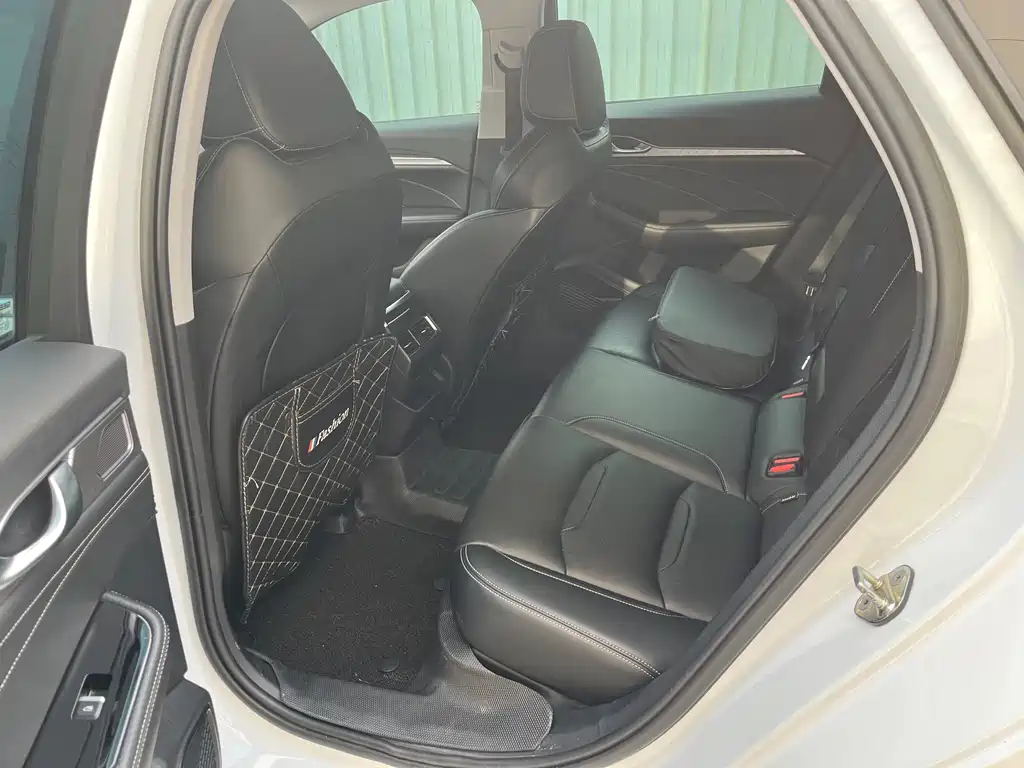 Xingrui 2021 2.0TD luxury + model купить на сайте DeffCars