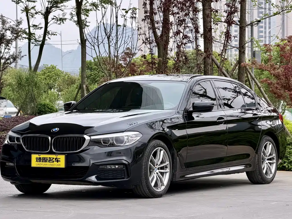 BMW 5 Series 2019 525Li M Sports Package купить на сайте DeffCars