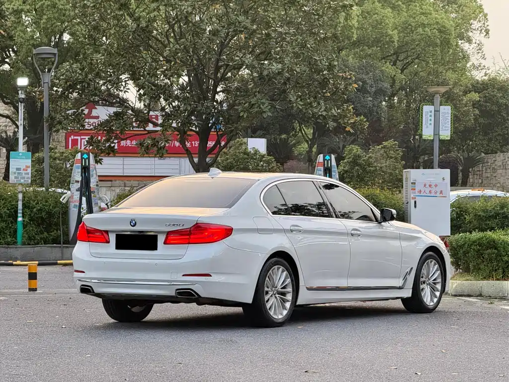 BMW 5 Series 2019 530Li Leading Luxury Package купить на сайте DeffCars