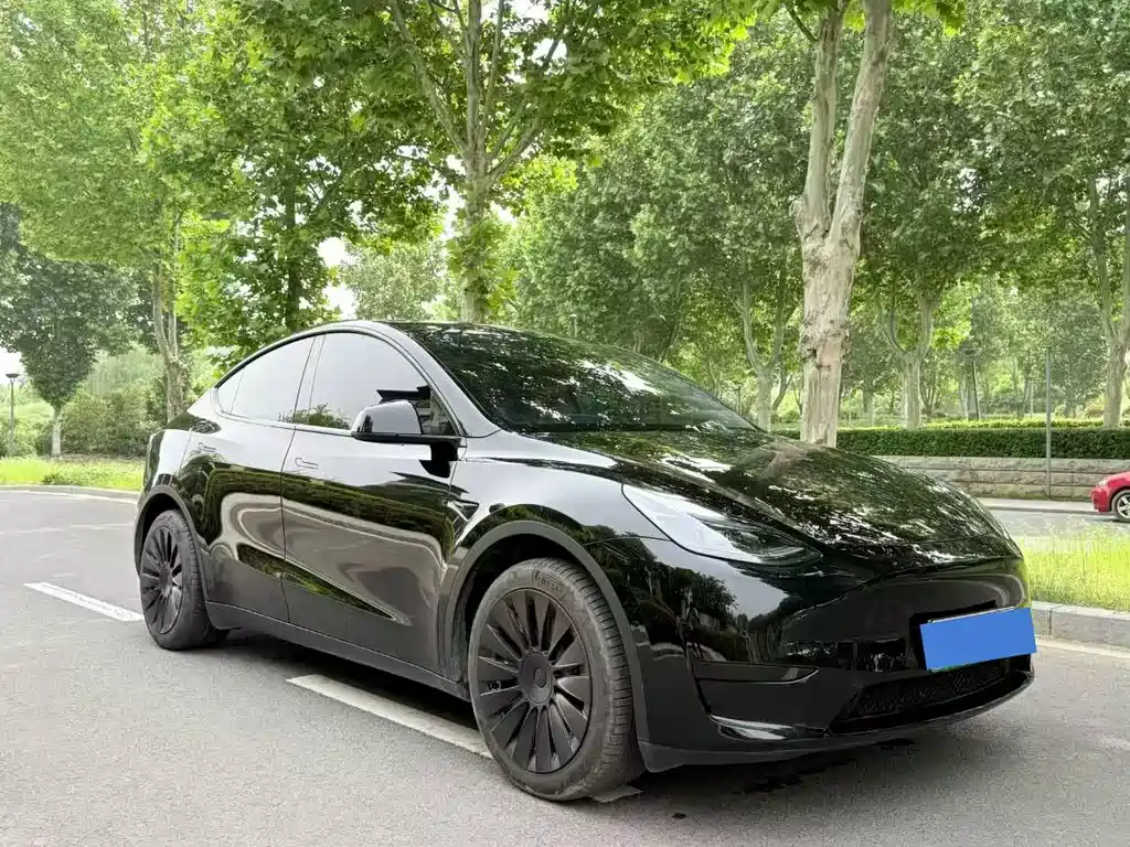 Model Y 2023 rear-wheel drive version купить на сайте DeffCars