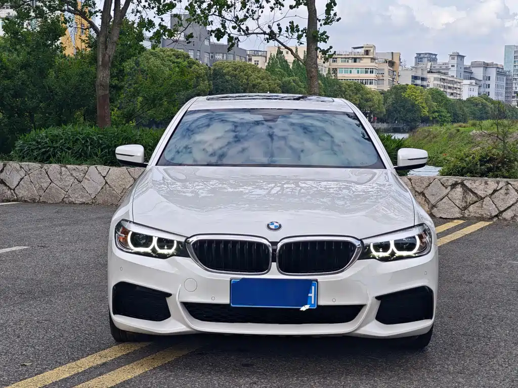 BMW 5 Series 2019 facelift 530Li leading M sports package купить на сайте DeffCars