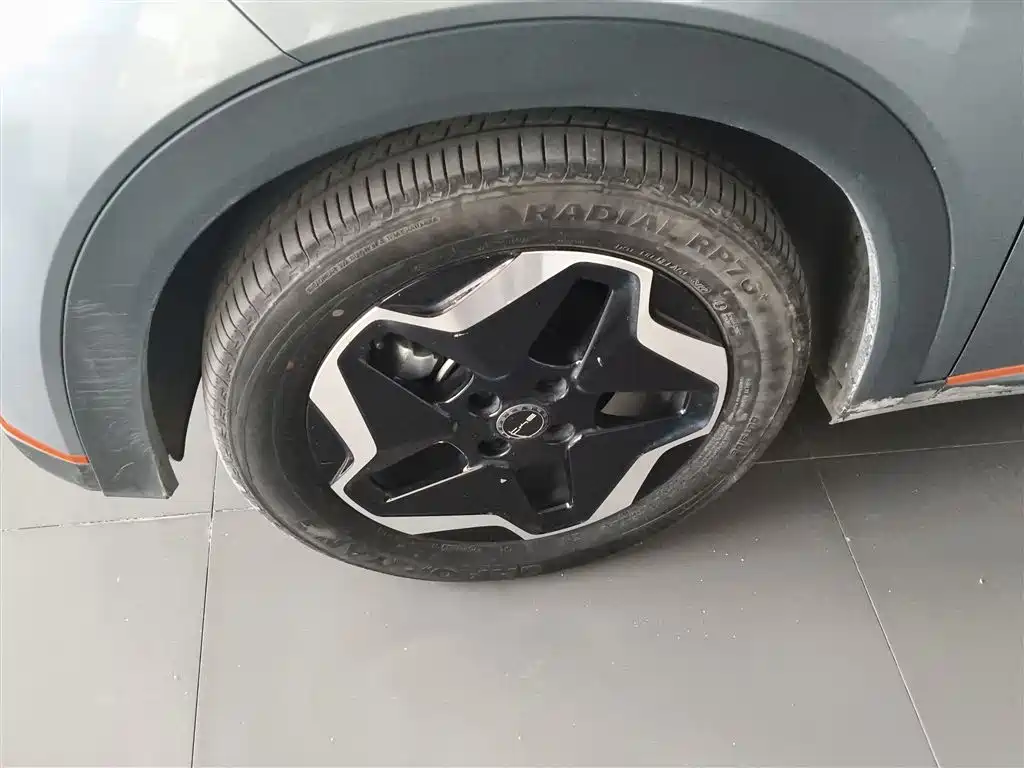Dolphin 2021 405km Free Edition купить на сайте DeffCars