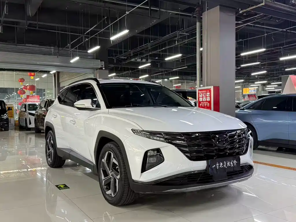 Tucson 2021 Tucson L 1.5T DCT LUX Premium Edition купить на сайте DeffCars