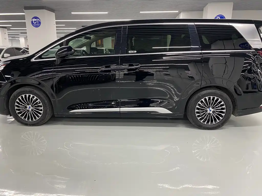 Denza D9 2024 DM-i 980 four-wheel drive premium model купить на сайте DeffCars