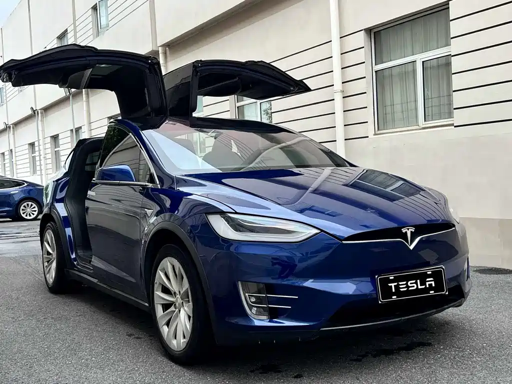 Model X 2019 Long Range Edition купить на сайте DeffCars