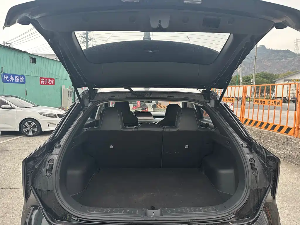 Venucia Big V 2022 260T customized version·idou купить на сайте DeffCars