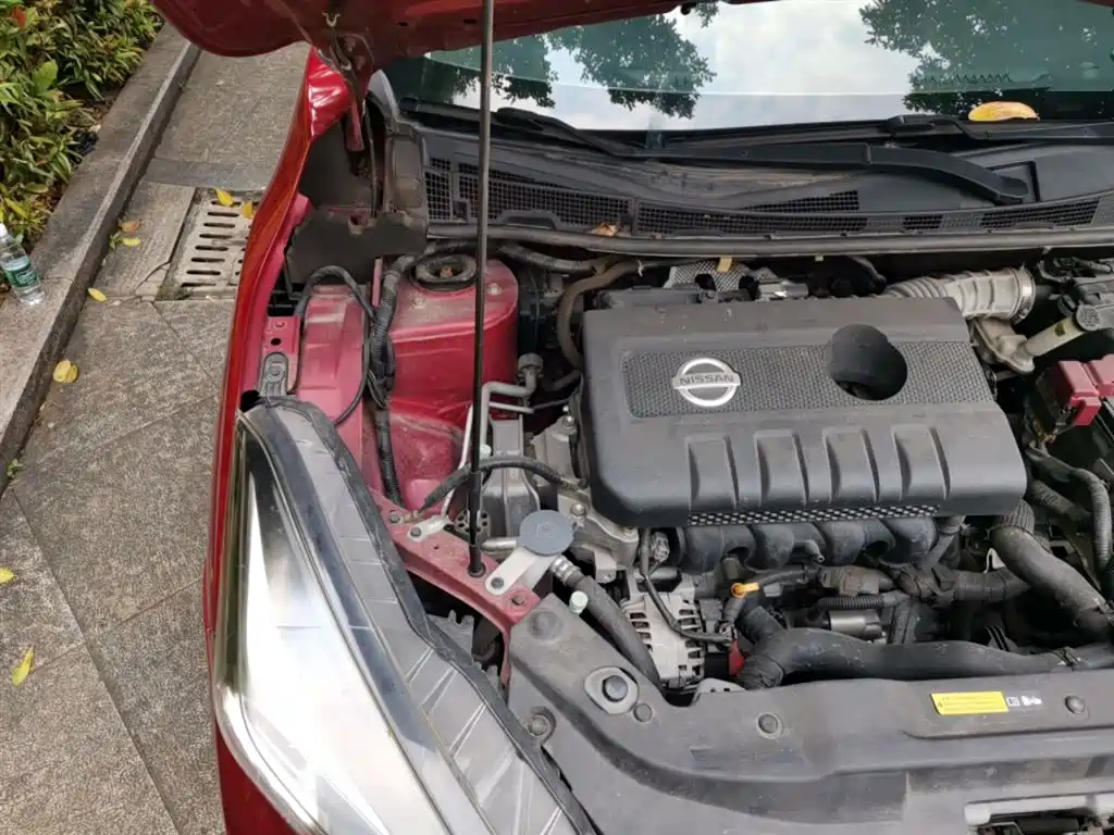 Blue Bird 2019 1.6L CVT Intelligent Cool Edition National V купить на сайте DeffCars