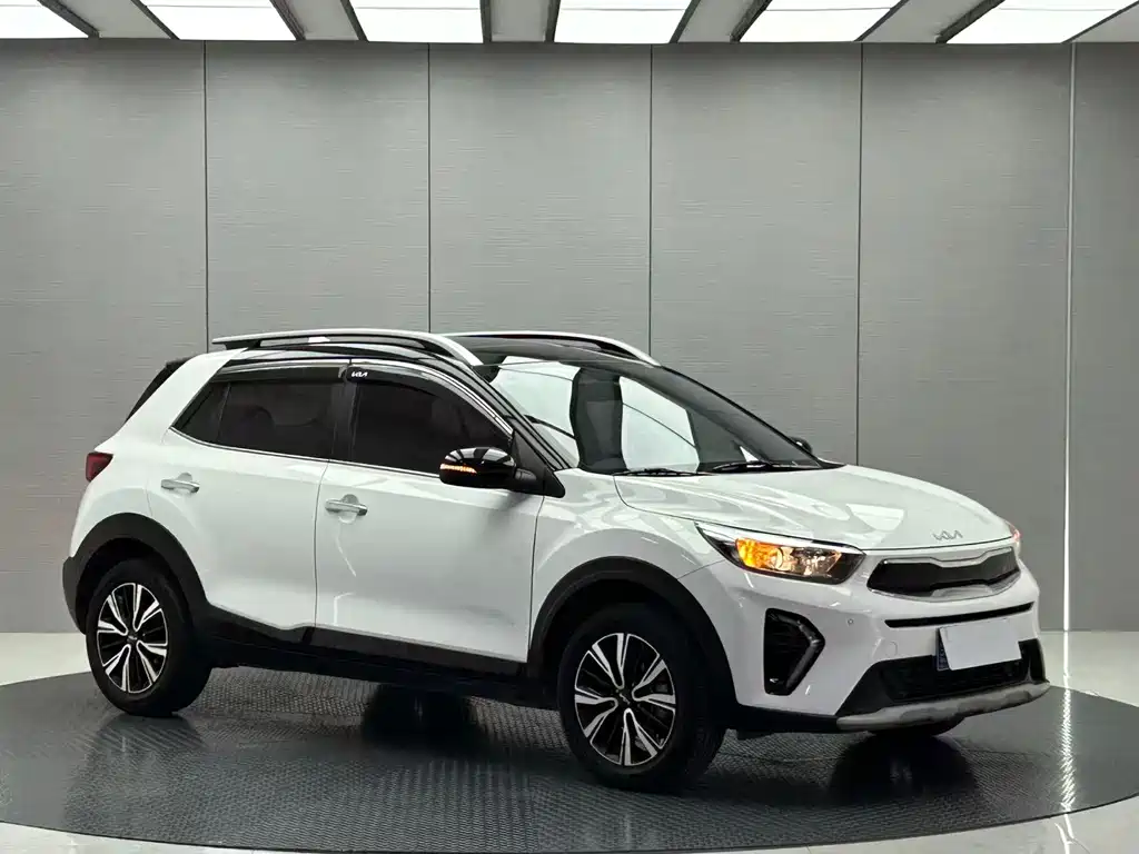 Yipao 2021 1.4L CVT sunroof model купить на сайте DeffCars