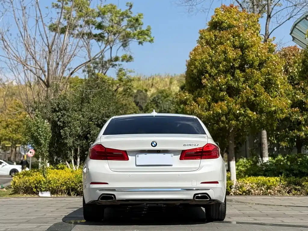 BMW 5 Series 2019 530Li Leading Luxury Package купить на сайте DeffCars