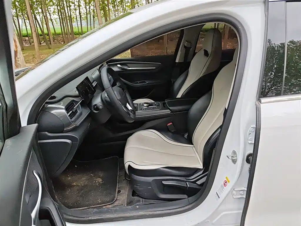 Destroyer 05 2024 Honor Edition DM-i 55KM Luxury Type купить на сайте DeffCars
