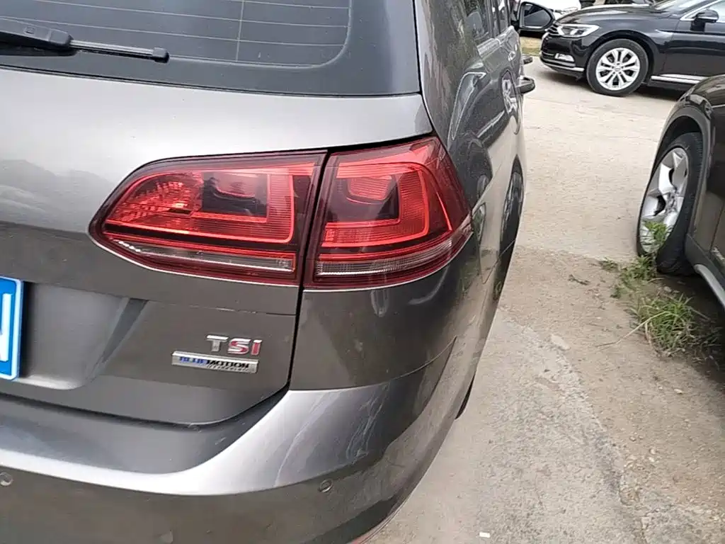 Golf imported 2014 1.4TSI luxury travel version купить на сайте DeffCars
