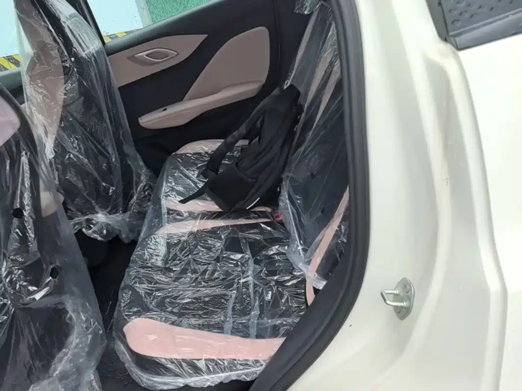 Seagull 2025 Smart Driving Edition 305km Dynamic купить на сайте DeffCars