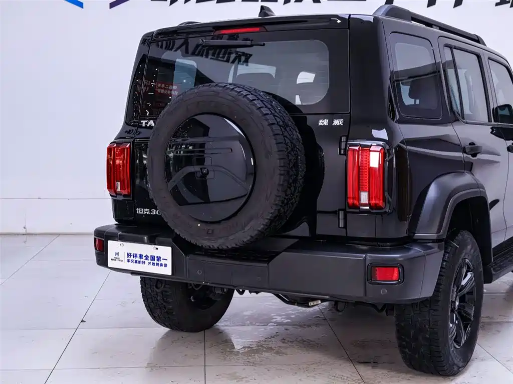Tank 300 2021 Off-Road Version 2.0T Conqueror купить на сайте DeffCars