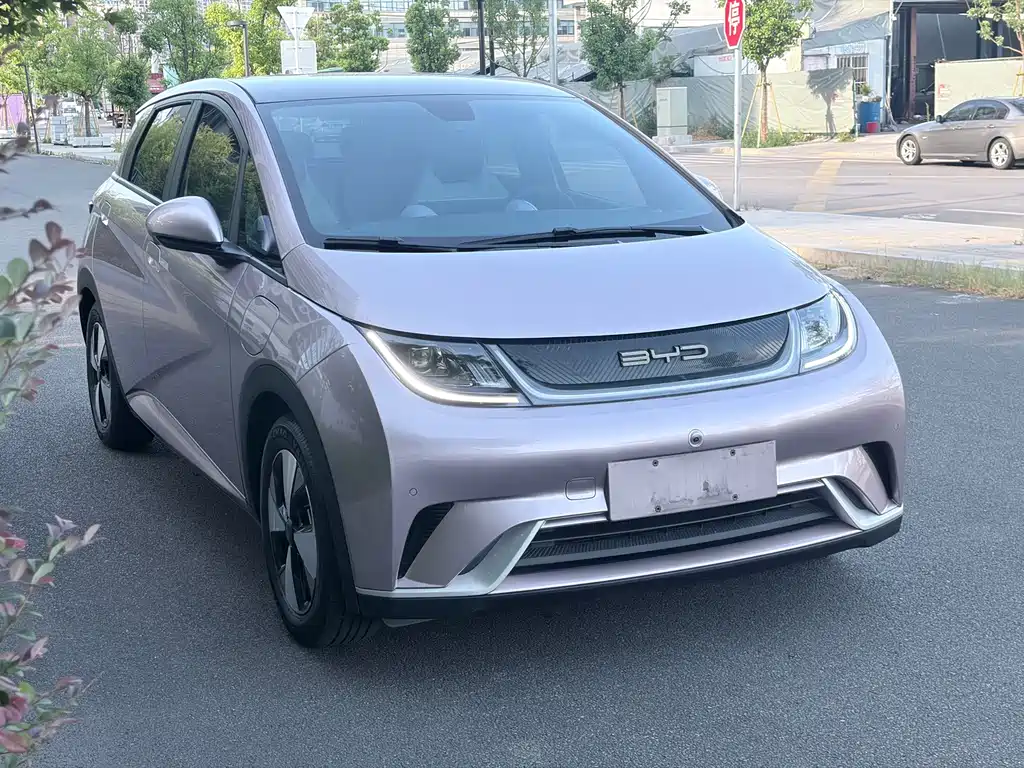 Dolphin 2024 Honor Edition 420km Fashion купить на сайте DeffCars