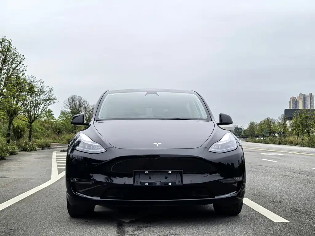 Model Y 2022 facelift, long-range all-wheel drive version купить на сайте DeffCars