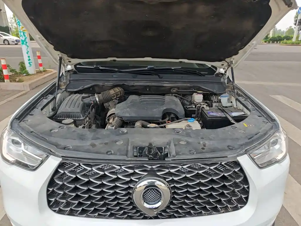Cannon (Poer) 2019 2.0T Commercial Manual Diesel 2WD Elite Long Case GW4D20M купить на сайте DeffCars