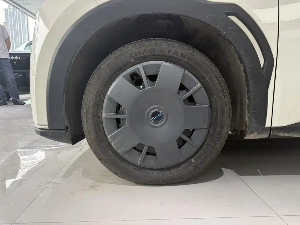 Seagull 2025 305km active version купить на сайте DeffCars