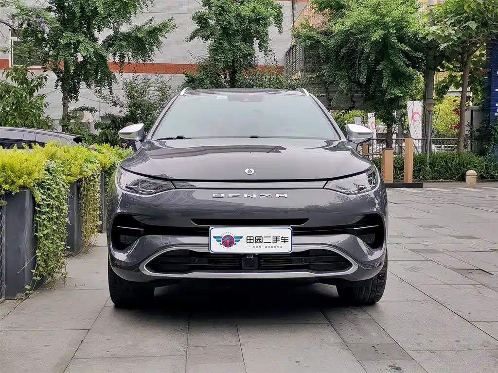 Denza X 2020 PHEV flagship version купить на сайте DeffCars