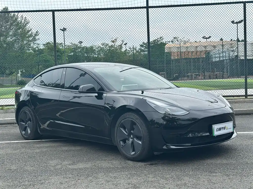 Model 3 2022 rear-wheel drive version купить на сайте DeffCars