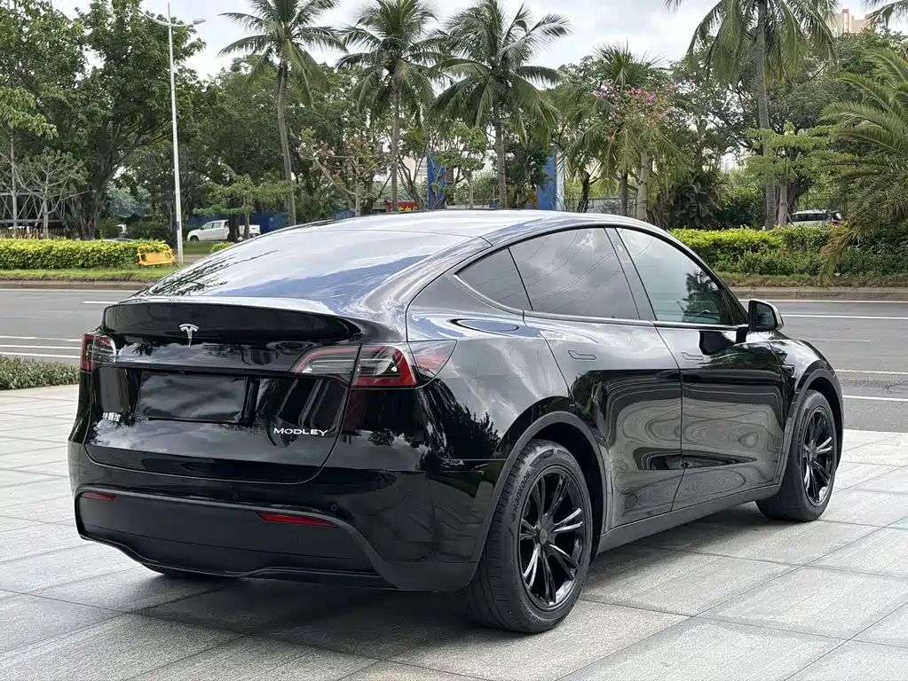 Model Y 2021 standard range rear-wheel drive version купить на сайте DeffCars