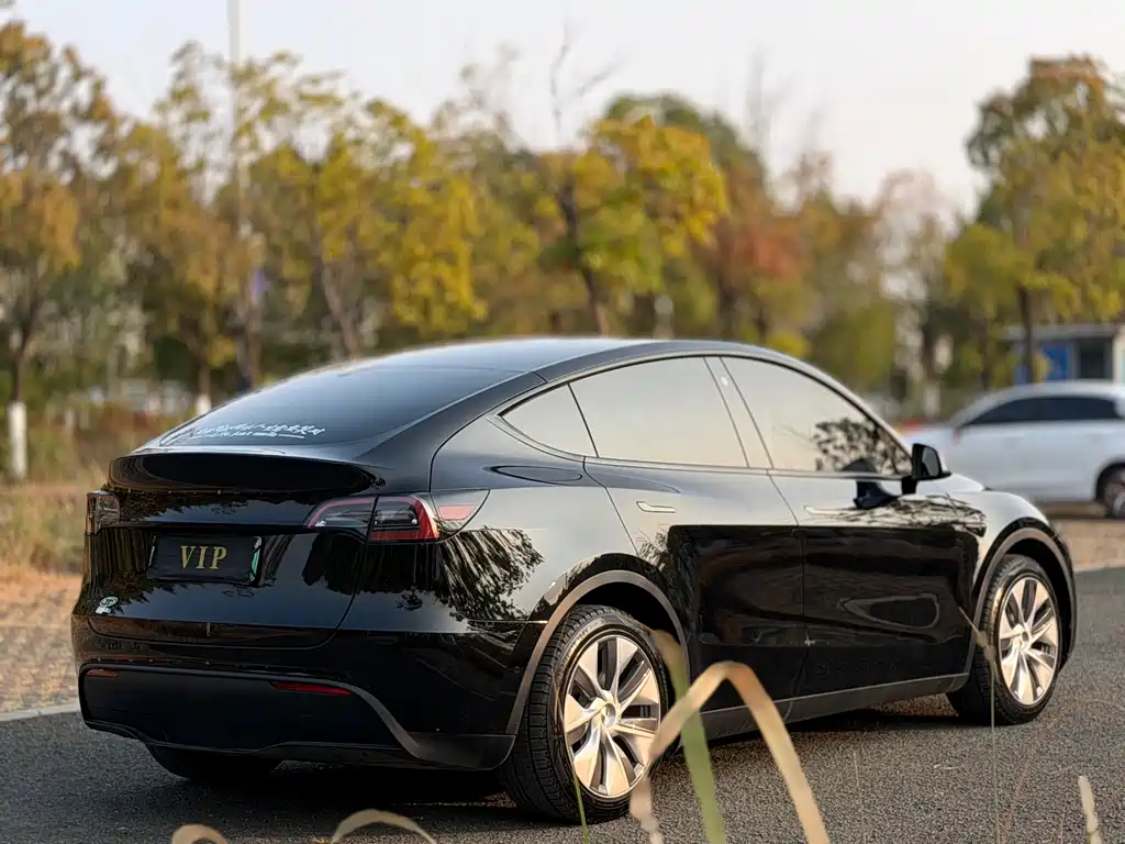 Model Y 2023 rear-wheel drive version купить на сайте DeffCars