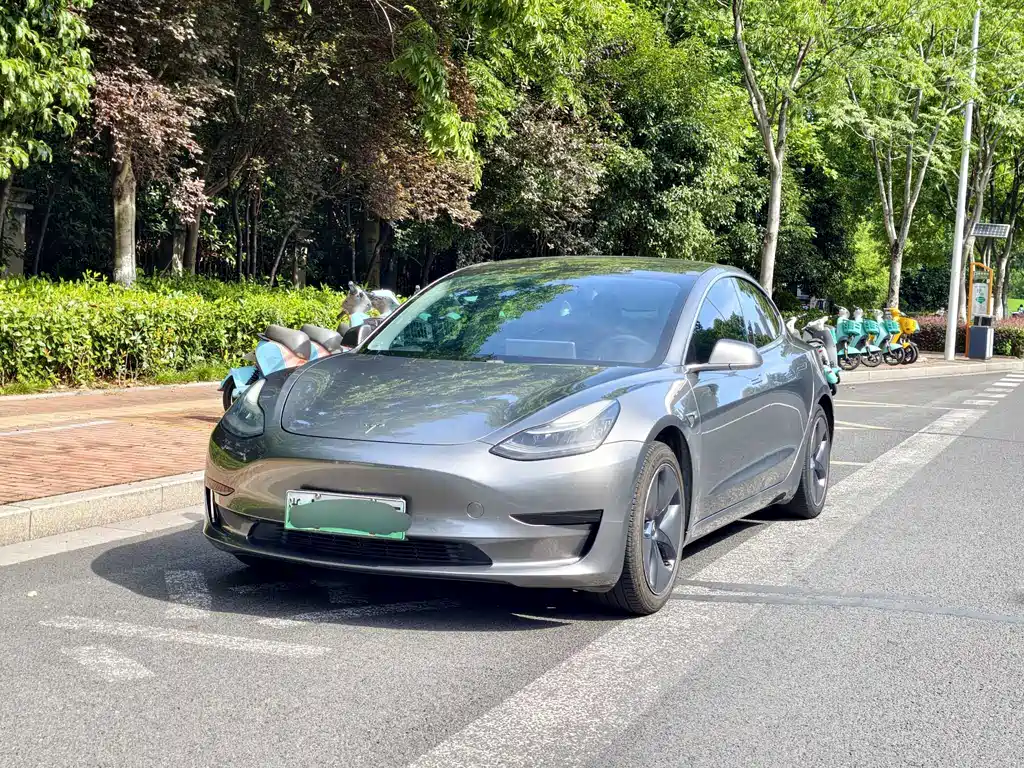 Model 3 2020 Standard Range Rear Drive Upgraded Version купить на сайте DeffCars