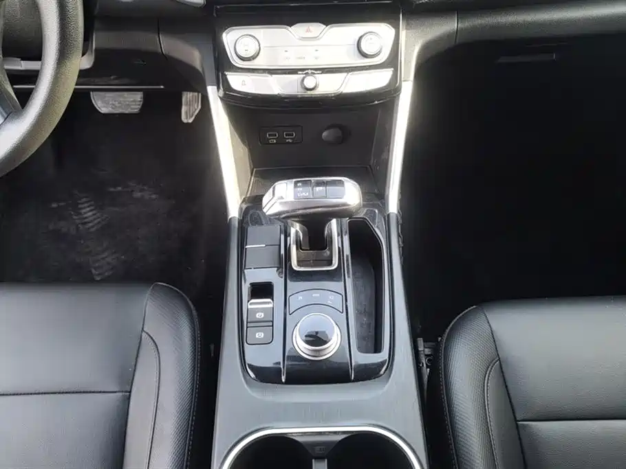 Cannon 2021 2.0T commercial version automatic diesel two-wheel drive elite long box GW4D20M купить на сайте DeffCars