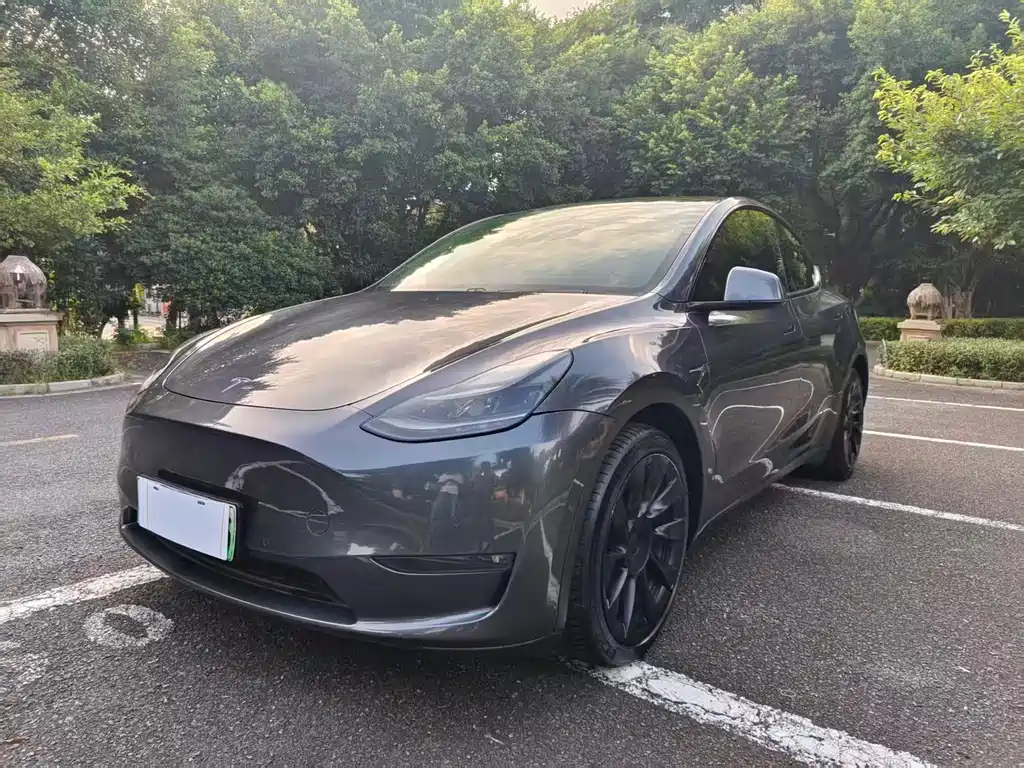 Model Y 2021 Long Range All-Wheel Drive Edition купить на сайте DeffCars