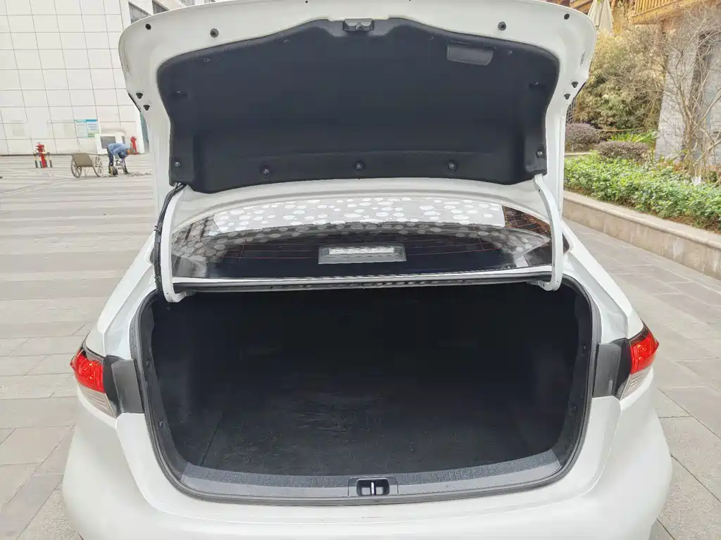 Ralink 2019 185T CVT Deluxe Edition National V купить на сайте DeffCars