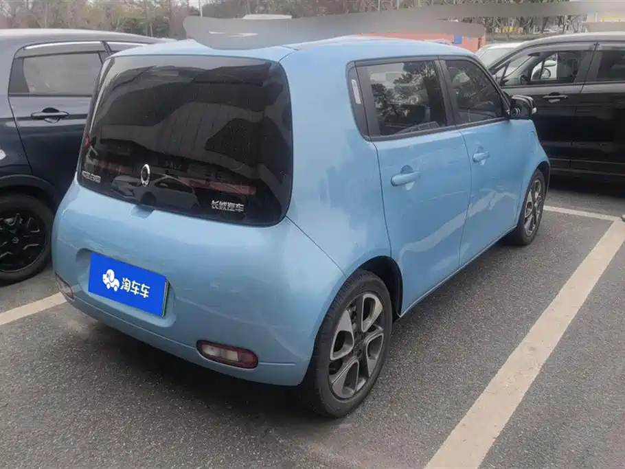 Euler White Cat 2020 401km flagship model купить на сайте DeffCars