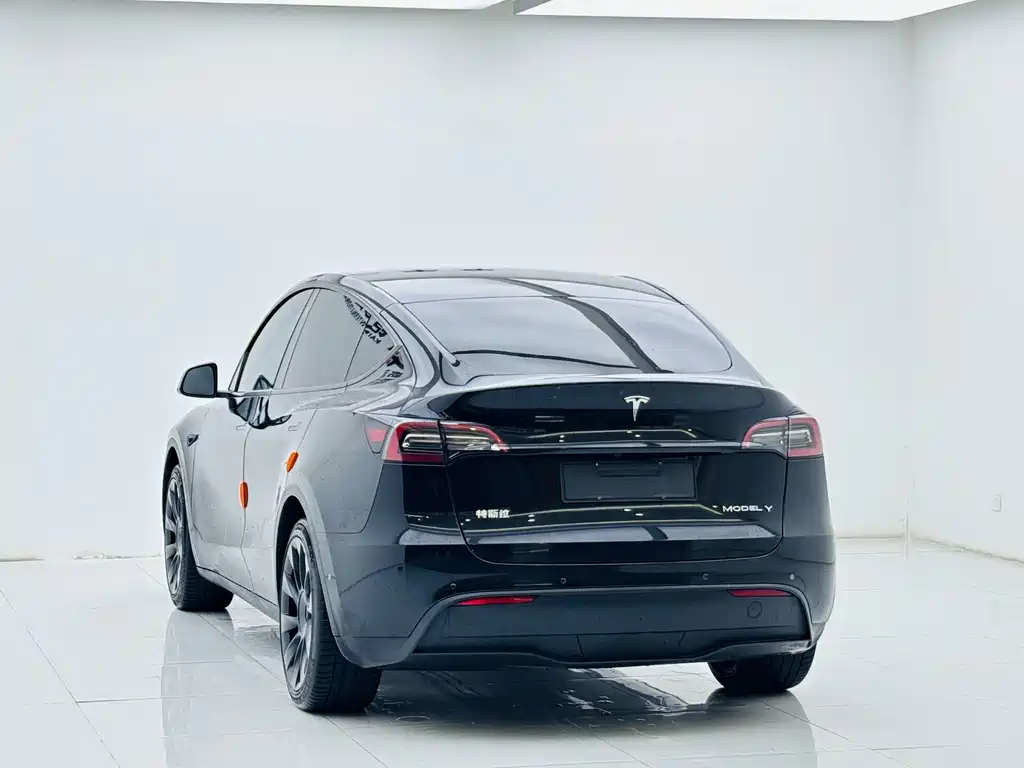 Model Y 2022 rear-wheel drive version купить на сайте DeffCars