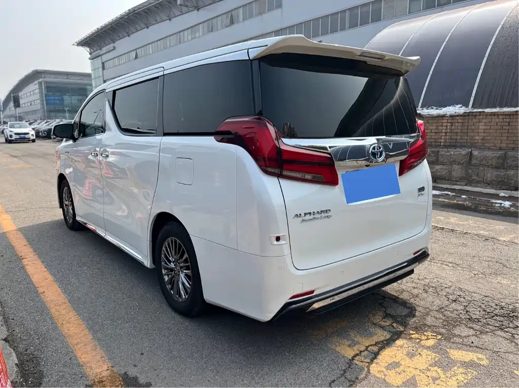 Alfa 2021 Shuangqing 2.5L Premium Edition купить на сайте DeffCars