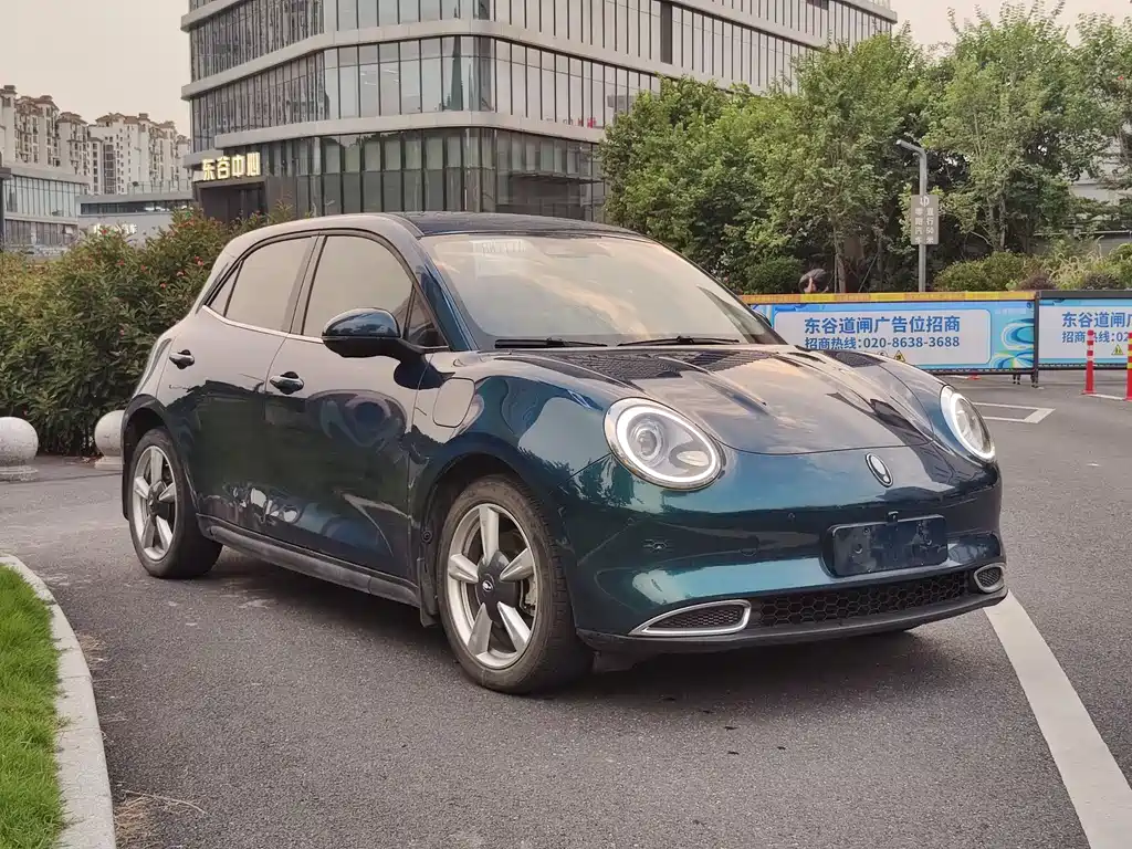 Euler Good Cat 2021 Model 400km Standard Range Athena Edition Lithium Iron Phosphate купить на сайте DeffCars