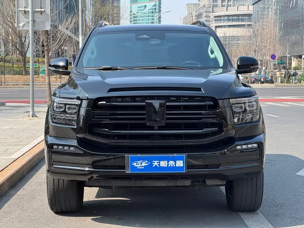 Tank 500 New Energy 2024 Hi4-T Black Warrior Edition купить на сайте DeffCars