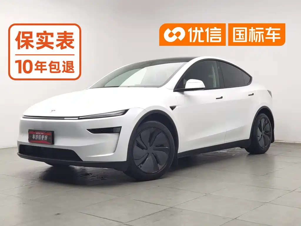 Model Y 2025 rear-wheel drive version купить на сайте DeffCars
