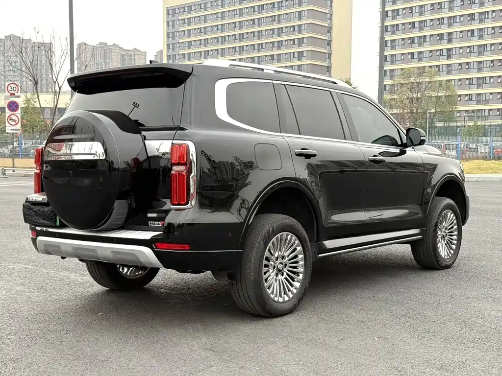 Tank 500 New Energy 2024 Hi4-T Black Warrior Edition купить на сайте DeffCars