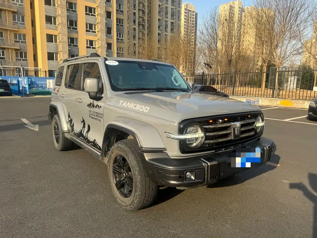 Tank 300 2021 City Edition 2.0T Very Stylish купить на сайте DeffCars