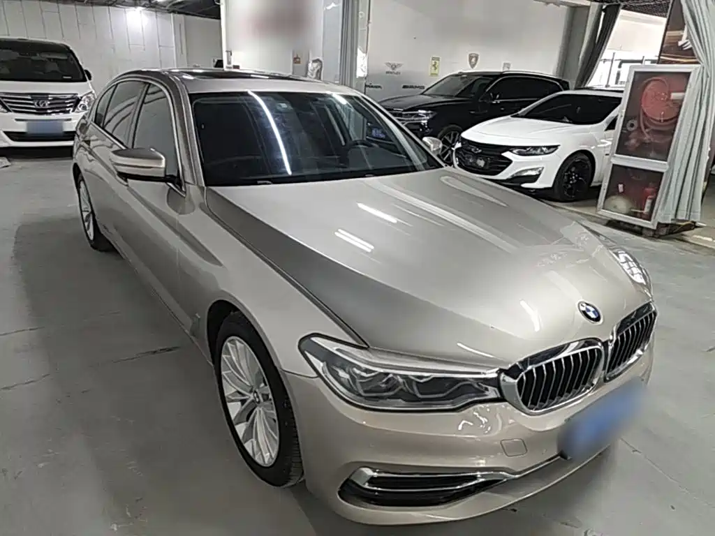 BMW 5 Series 2020 530Li Leading Luxury Package купить на сайте DeffCars
