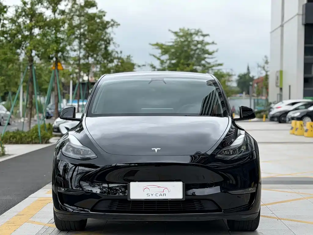 Model Y 2021 standard range rear-wheel drive version купить на сайте DeffCars