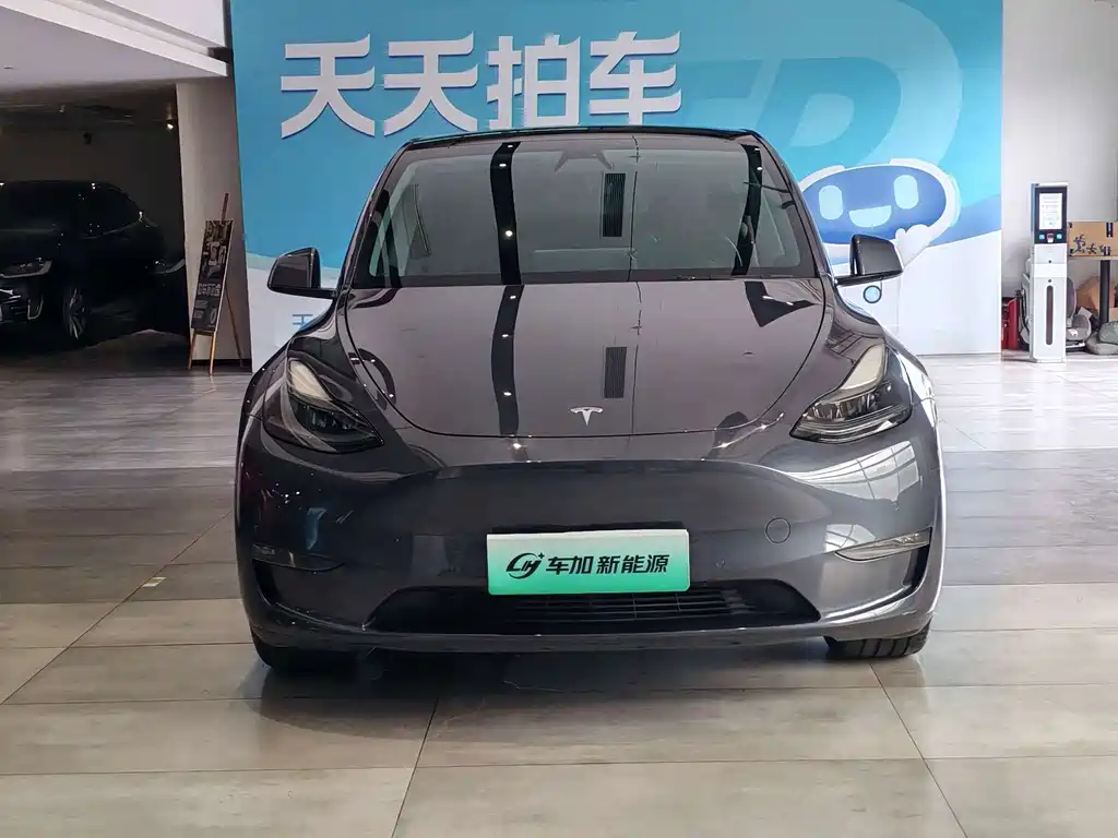 Model Y 2021款 长续航全轮驱动版 купить на сайте DeffCars