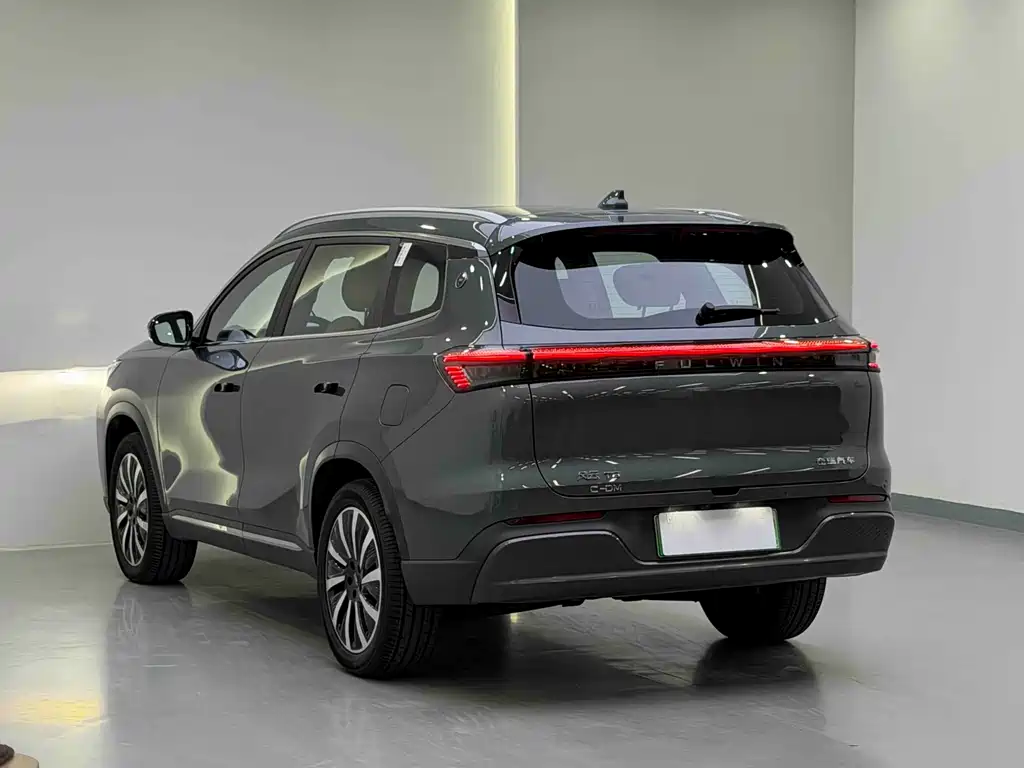 Fengyun T8 2025 model 1.5T 130km exclusive version 5 seats купить на сайте DeffCars