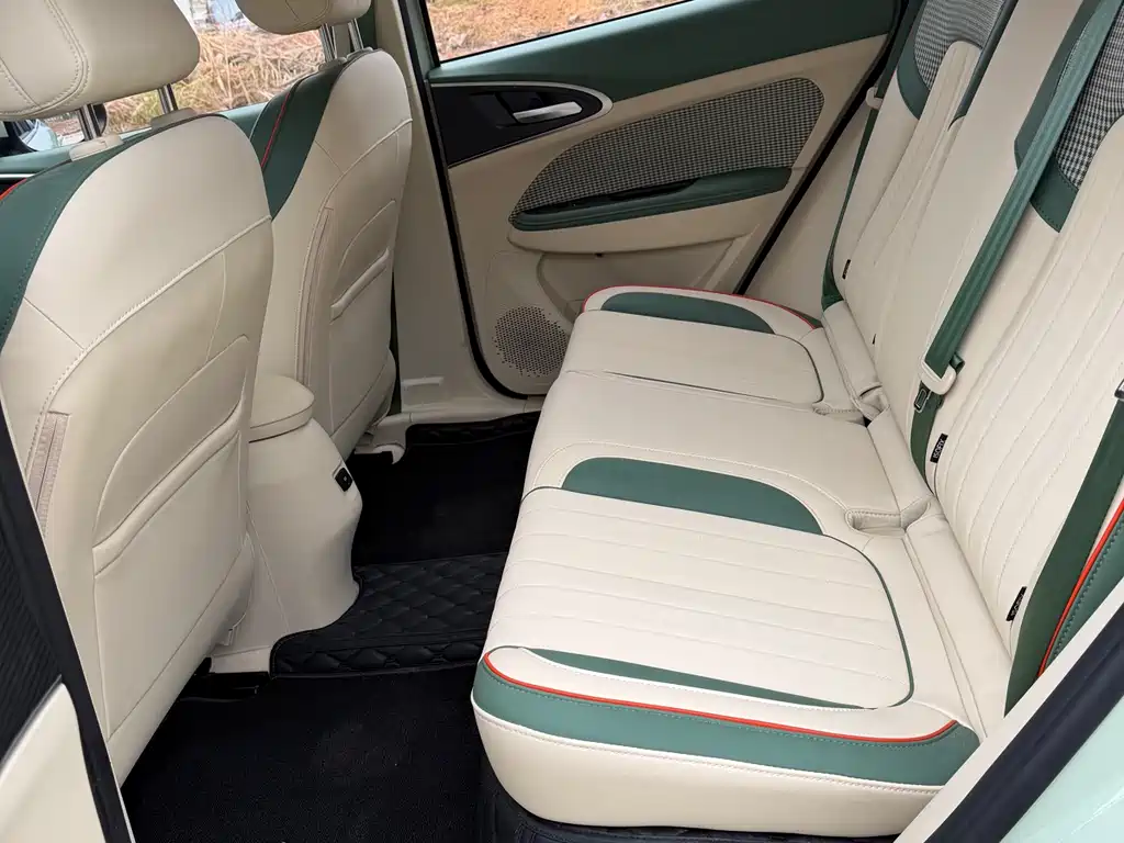 Euler Good Cat 2022 model 400km standard battery life luxury model ternary lithium купить на сайте DeffCars